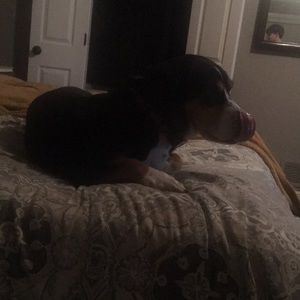 Meet your Posher, Lance